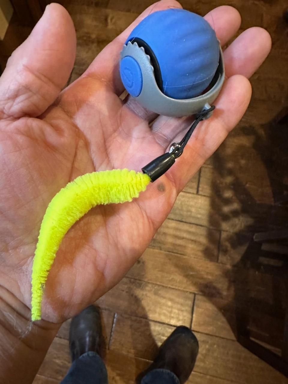 Rolling Ball Cat Toy - NuroHub