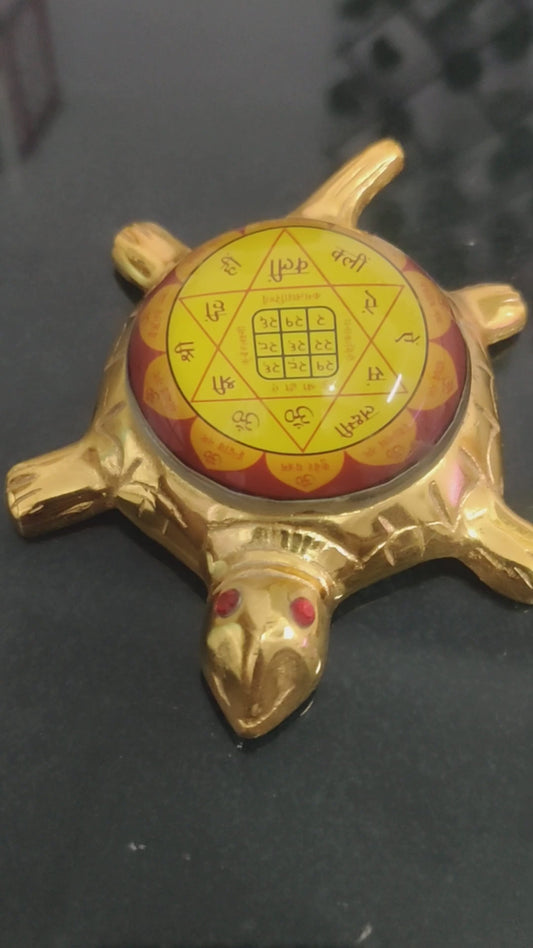 Dhan Laxmi Tortoise (Only Kachua) for Good Luck